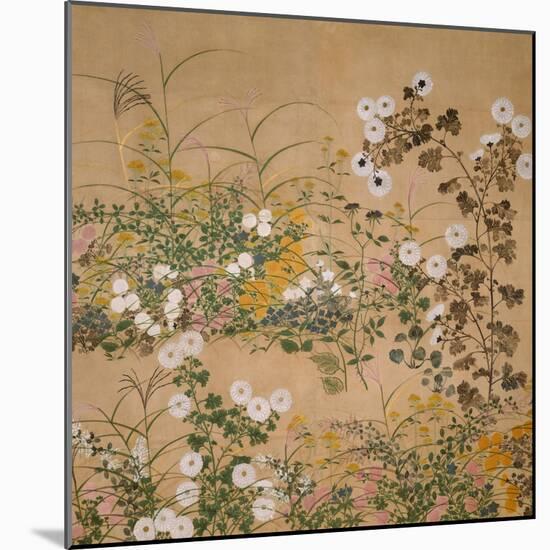 Flowering Plants in Autumn, 18th Century-Ogata Korin-Mounted Giclee Print