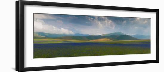Flowering plants with mountain range in the backgrounds in Piani di Castelluccio, Castelluccio,...-null-Framed Photographic Print