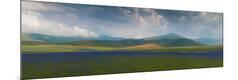 Photographic Print