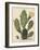 Flowering Prickly Pear Cactus, 1683-Herman Saftleven-Framed Art Print