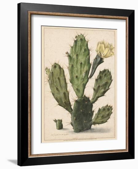 Flowering Prickly Pear Cactus, 1683-Herman Saftleven-Framed Art Print
