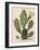 Flowering Prickly Pear Cactus, 1683-Herman Saftleven-Framed Art Print