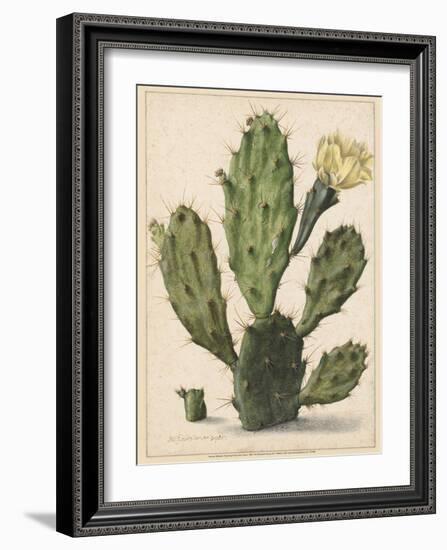 Flowering Prickly Pear Cactus, 1683-Herman Saftleven-Framed Art Print