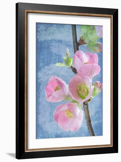 Flowering Quince I-Kathy Mahan-Framed Photographic Print