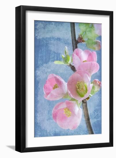 Flowering Quince I-Kathy Mahan-Framed Photographic Print