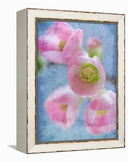 Flowering Quince II-Kathy Mahan-Framed Premier Image Canvas