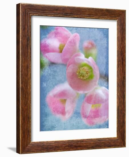 Flowering Quince II-Kathy Mahan-Framed Photographic Print