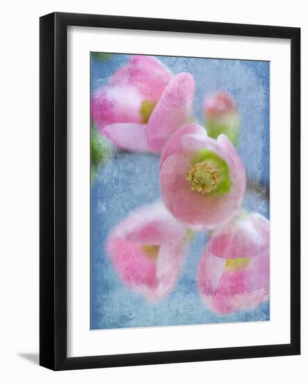 Flowering Quince II-Kathy Mahan-Framed Photographic Print