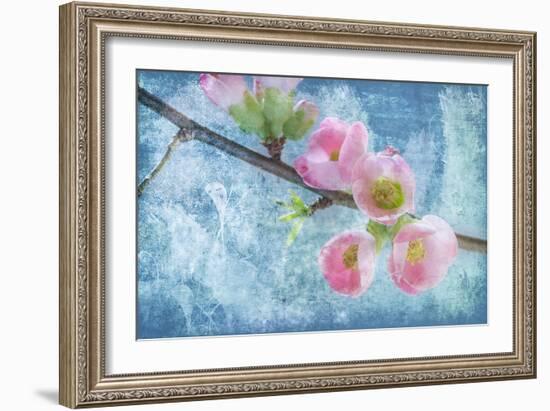 Flowering Quince III-Kathy Mahan-Framed Photographic Print
