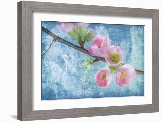 Flowering Quince III-Kathy Mahan-Framed Photographic Print