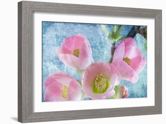 Flowering Quince IV-Kathy Mahan-Framed Photographic Print