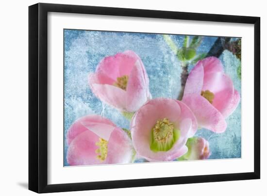Flowering Quince IV-Kathy Mahan-Framed Photographic Print
