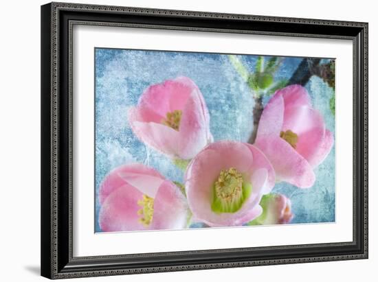 Flowering Quince IV-Kathy Mahan-Framed Photographic Print