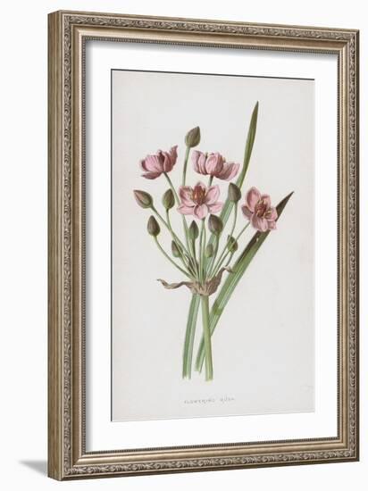 Flowering Rush (Chromolitho)-Frederick Edward Hulme-Framed Giclee Print