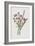 Flowering Rush (Chromolitho)-Frederick Edward Hulme-Framed Giclee Print