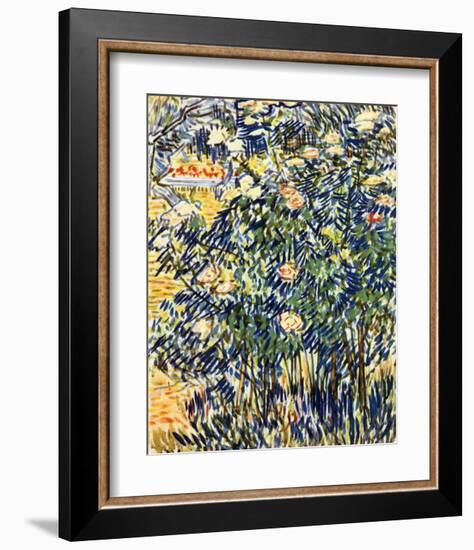 Flowering Shrub-Vincent van Gogh-Framed Giclee Print