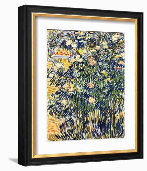 Flowering Shrub-Vincent van Gogh-Framed Giclee Print