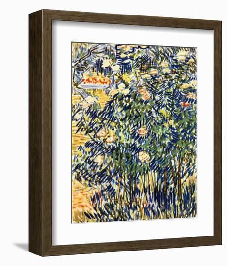 Flowering Shrub-Vincent van Gogh-Framed Giclee Print