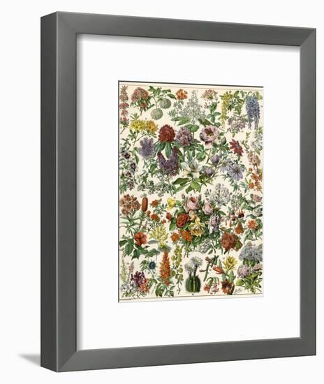 Flowering Shrubs, Including Peony, Rose, Lilac, Echinopsis, Fuschia, Laurel, Magnolia, Rhododendron-null-Framed Premium Giclee Print