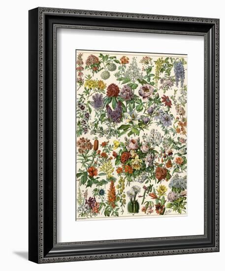 Flowering Shrubs, Including Peony, Rose, Lilac, Echinopsis, Fuschia, Laurel, Magnolia, Rhododendron-null-Framed Premium Giclee Print