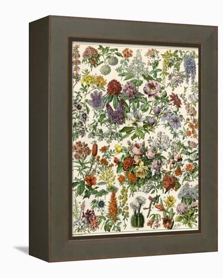 Flowering Shrubs, Including Peony, Rose, Lilac, Echinopsis, Fuschia, Laurel, Magnolia, Rhododendron-null-Framed Premier Image Canvas