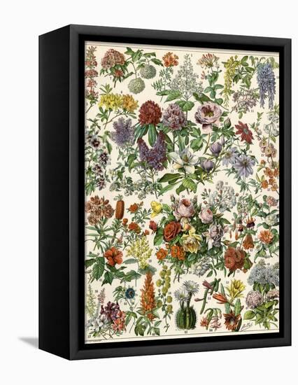 Flowering Shrubs, Including Peony, Rose, Lilac, Echinopsis, Fuschia, Laurel, Magnolia, Rhododendron-null-Framed Premier Image Canvas