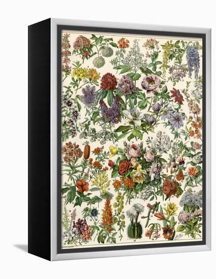 Flowering Shrubs, Including Peony, Rose, Lilac, Echinopsis, Fuschia, Laurel, Magnolia, Rhododendron-null-Framed Premier Image Canvas