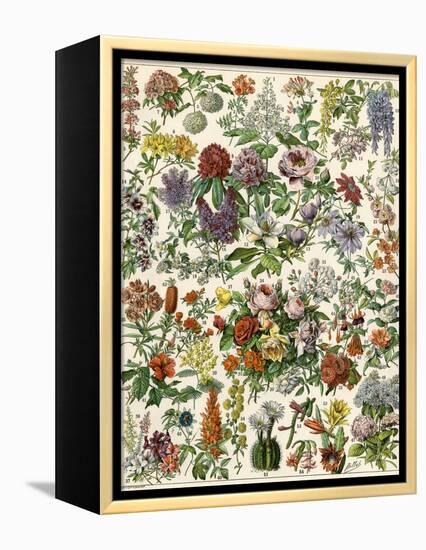 Flowering Shrubs, Including Peony, Rose, Lilac, Echinopsis, Fuschia, Laurel, Magnolia, Rhododendron-null-Framed Premier Image Canvas