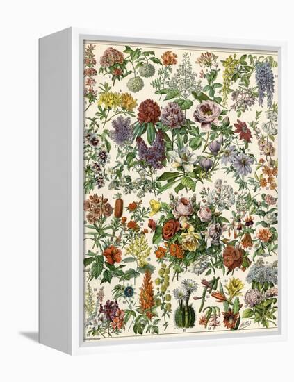 Flowering Shrubs, Including Peony, Rose, Lilac, Echinopsis, Fuschia, Laurel, Magnolia, Rhododendron-null-Framed Premier Image Canvas