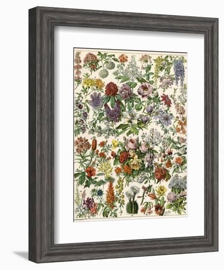 Flowering Shrubs, Including Peony, Rose, Lilac, Echinopsis, Fuschia, Laurel, Magnolia, Rhododendron-null-Framed Giclee Print