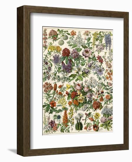 Flowering Shrubs, Including Peony, Rose, Lilac, Echinopsis, Fuschia, Laurel, Magnolia, Rhododendron-null-Framed Giclee Print