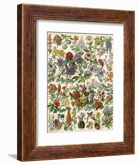 Flowering Shrubs, Including Peony, Rose, Lilac, Echinopsis, Fuschia, Laurel, Magnolia, Rhododendron-null-Framed Giclee Print