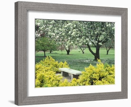 Flowering Trees with Memorial Bench, Yakima Area Arboretum, Washington, USA-null-Framed Photographic Print