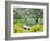 Flowering Trees with Memorial Bench, Yakima Area Arboretum, Washington, USA-null-Framed Photographic Print