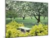 Flowering Trees with Memorial Bench, Yakima Area Arboretum, Washington, USA-null-Mounted Photographic Print