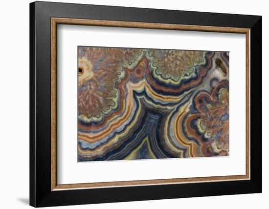 Flowering Tube Onyx, Mexico-Darrell Gulin-Framed Photographic Print