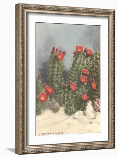 Flowering White Sands Cactus-null-Framed Art Print