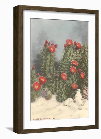 Flowering White Sands Cactus-null-Framed Art Print