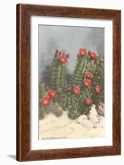 Flowering White Sands Cactus-null-Framed Art Print