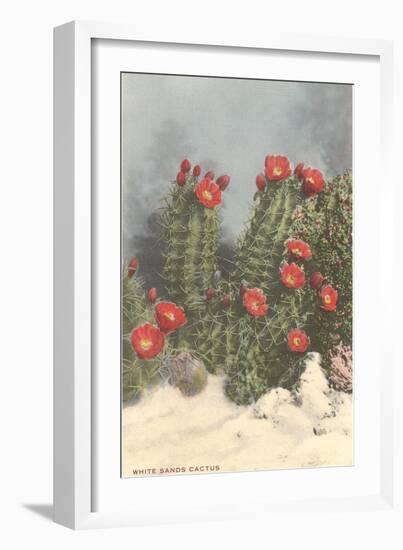 Flowering White Sands Cactus-null-Framed Premium Giclee Print