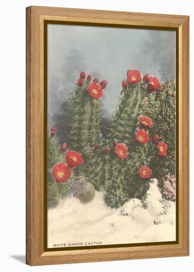 Flowering White Sands Cactus-null-Framed Stretched Canvas