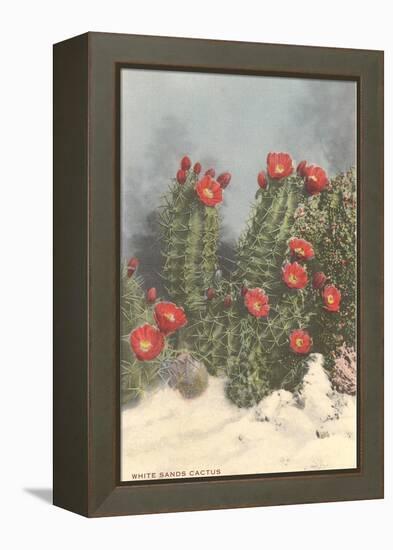 Flowering White Sands Cactus-null-Framed Stretched Canvas