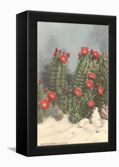 Flowering White Sands Cactus-null-Framed Stretched Canvas