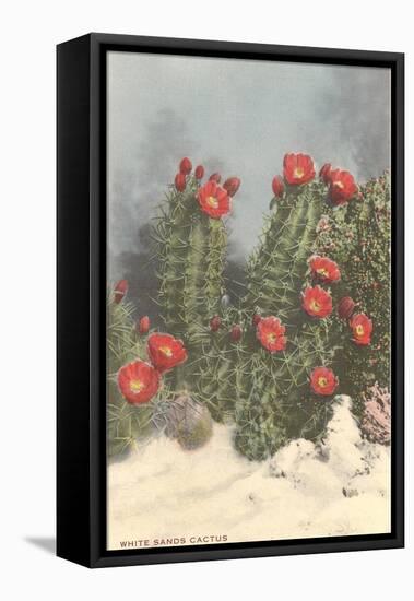 Flowering White Sands Cactus-null-Framed Stretched Canvas