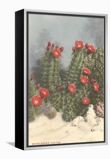 Flowering White Sands Cactus-null-Framed Stretched Canvas
