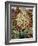 Flowering Yucca-Christopher Ryland-Framed Premium Giclee Print