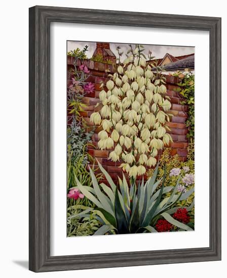 Flowering Yucca-Christopher Ryland-Framed Premium Giclee Print