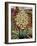 Flowering Yucca-Christopher Ryland-Framed Premium Giclee Print