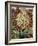 Flowering Yucca-Christopher Ryland-Framed Premium Giclee Print