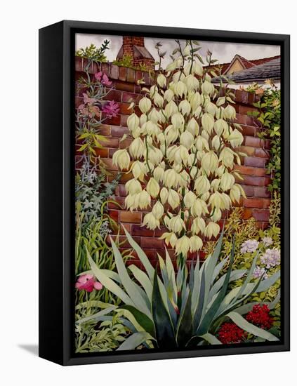 Flowering Yucca-Christopher Ryland-Framed Premier Image Canvas